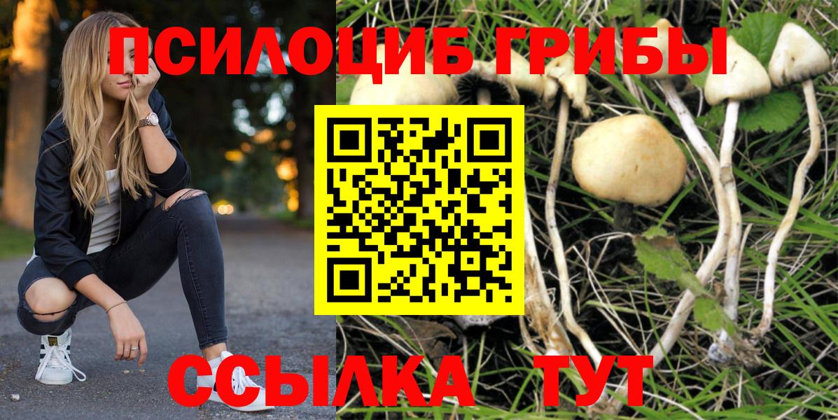 Псилоцибиновые грибы Magic Shrooms Жигулёвск