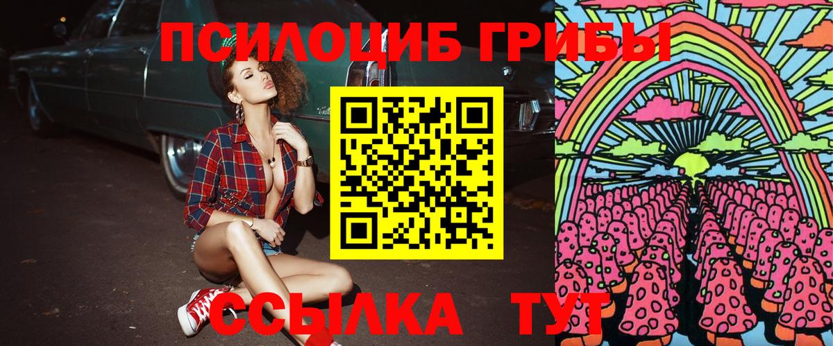 Жигулёвск  Псилоцибиновые грибы Psilocybe  Вход с VPN  Галлюциногенные грибы ЛСД 